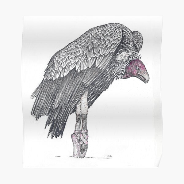 Vulture in toe shoes Poster