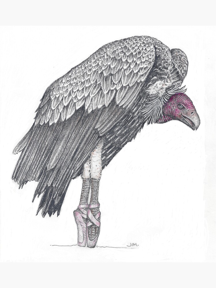 Thumbnail 3 of 3, Sticker, Vulture in toe shoes designed and sold by JimsBirds.