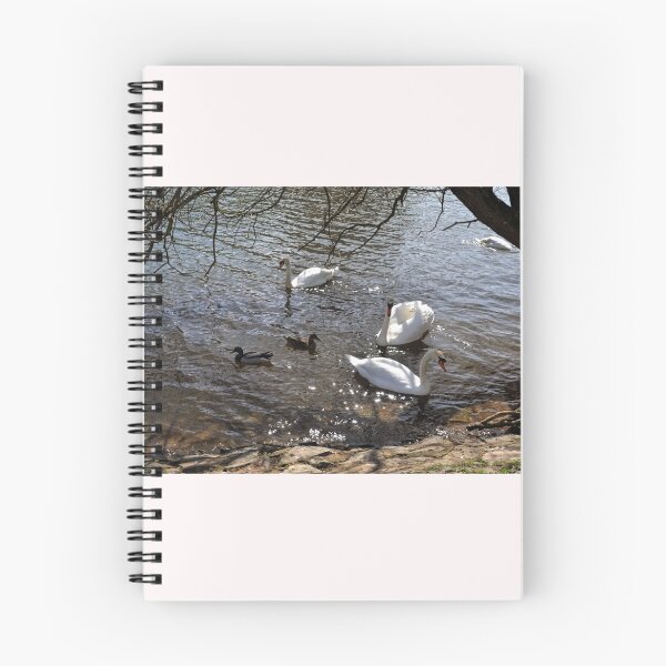 Item preview, One for the Birds...... designed and sold by lynn carter.