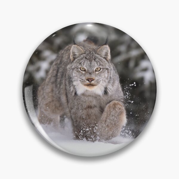 Item preview, Lynx On The Move designed and sold by mlorenz.