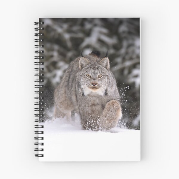 Item preview, Lynx On The Move designed and sold by mlorenz.