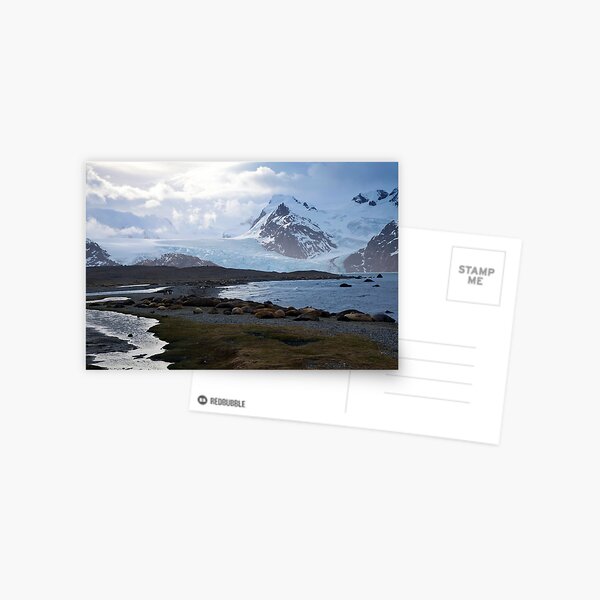 Download Shackleton Stationery Redbubble Yellowimages Mockups