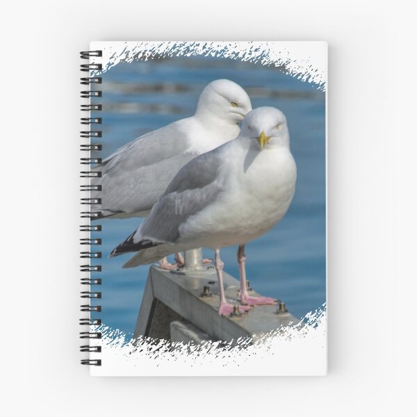 Item preview, Twin Gulls.......... designed and sold by lynn carter.