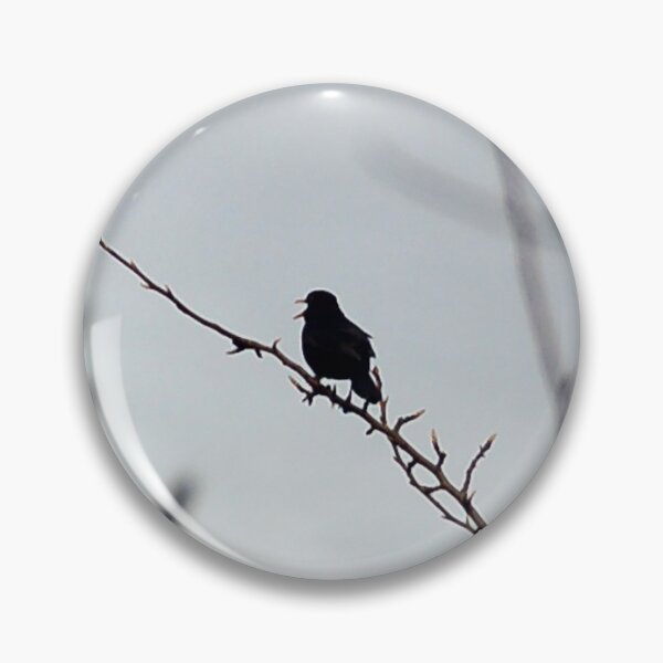 Item preview, Singbird designed and sold by SolaceUK.
