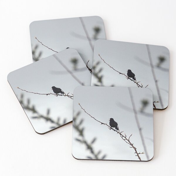 Item preview, Singbird designed and sold by SolaceUK.