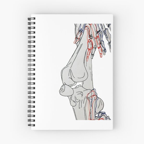 Item preview, Skeleton Fragments designed and sold by fossilarcher.