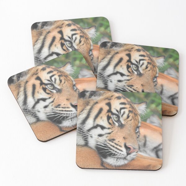 Item preview, Sumatran Tiger designed and sold by kirstybush.