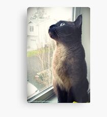 Nini Metal Print