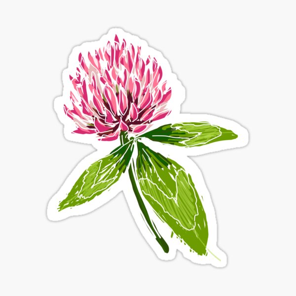 Item preview, Trifolium pratense designed and sold by PearOfPrickles.