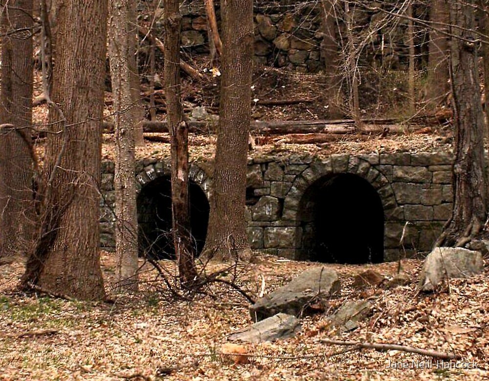 "The Ancient Remains of Stone Tunnels under Boonton" by Jane NeillHancock Redbubble