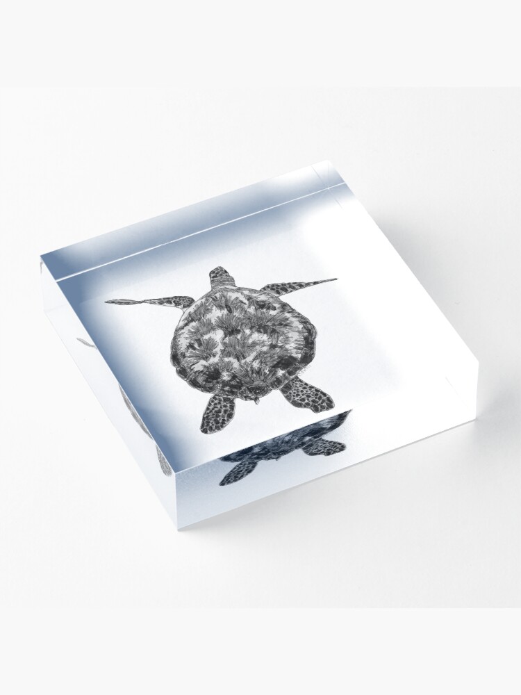Alternate view of Jacki the Turtle Acrylic Block