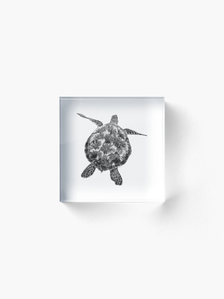 Alternate view of Jacki the Turtle Acrylic Block