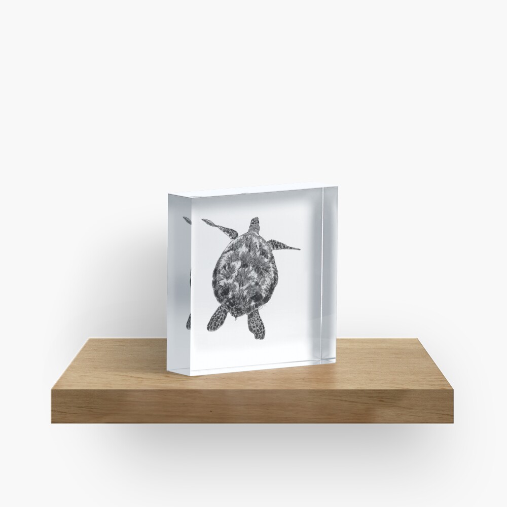 Jacki the Turtle Acrylic Block