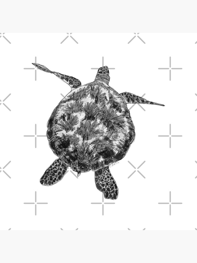 Jacki the Turtle by Wildcard-Sue
