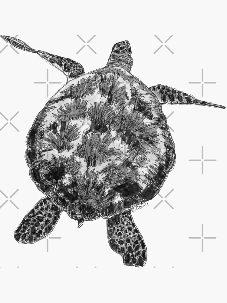 Jacki the Turtle by Wildcard-Sue