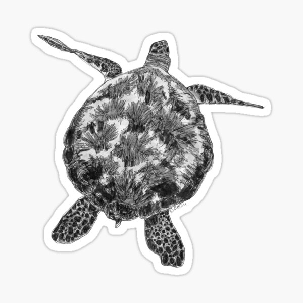 Jacki the Turtle Sticker