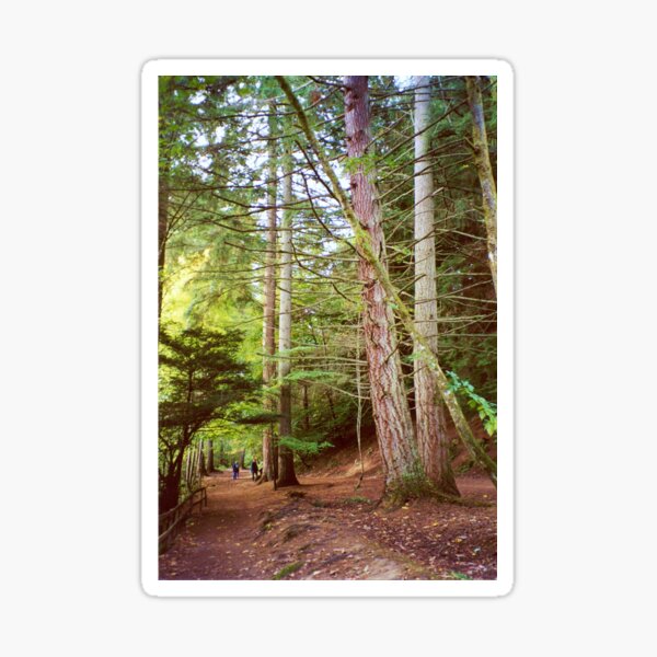 Item preview, The Ents At Home designed and sold by artwhiz47.