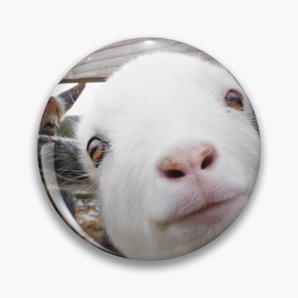 Item preview, Friendly Goats designed and sold by Nalinne Jones.