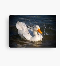 Splish Splash I was Taking a Bath Canvas Print