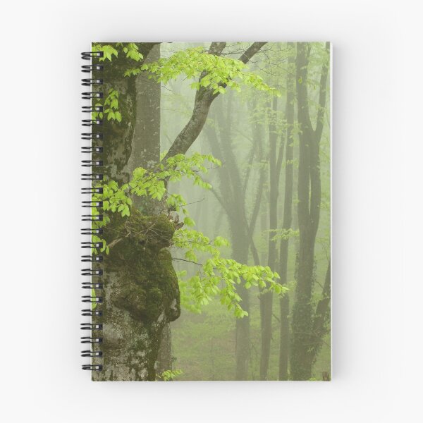 Item preview, Strong Fog in the Beech Forest. designed and sold by vkph.
