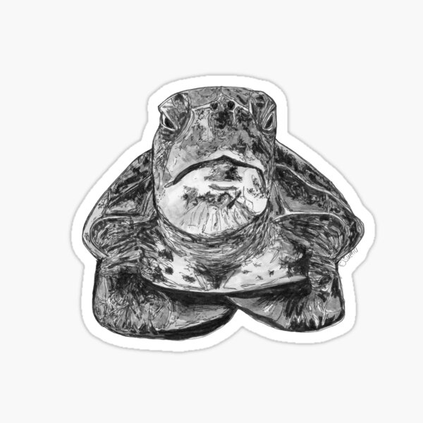 Cliff the Turtle Sticker