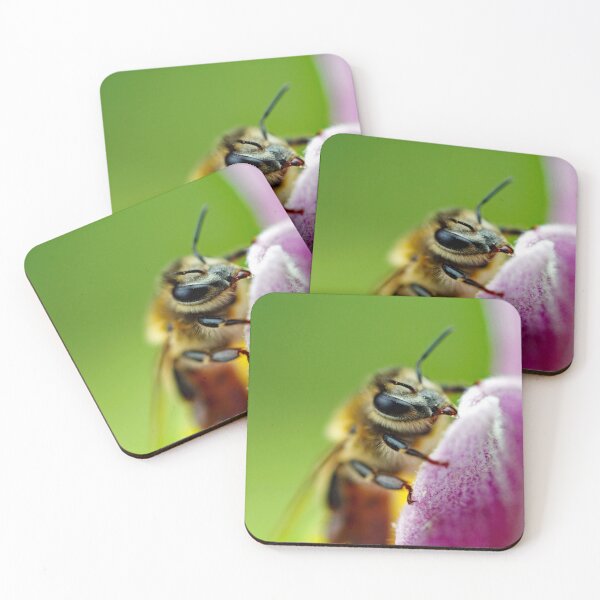 Item preview, A bee with a sweet tooth  designed and sold by Patman61.