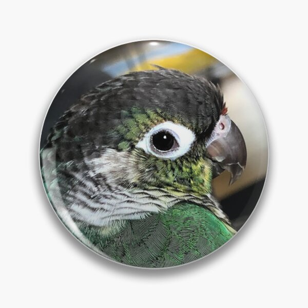 Item preview, Kiki Green Cheek Conure designed and sold by lawlicake.