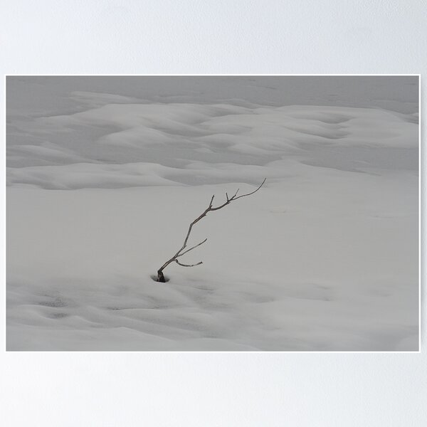 Item preview, Focus designed and sold by Shilohlin Pfeiffer.