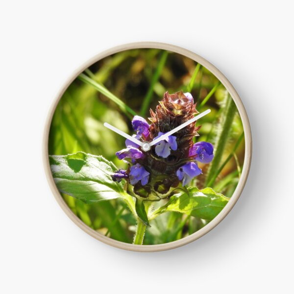 Self Heal Wildflower Clock
