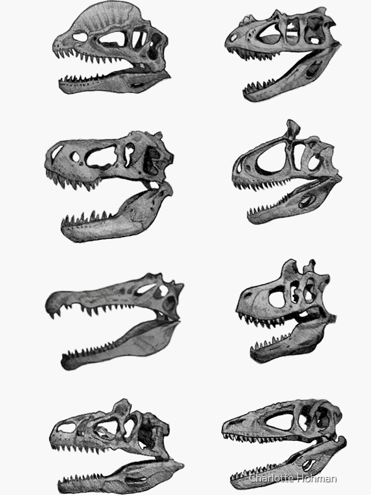 large theropods