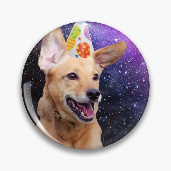 Item preview, Dogs in Space Birthday designed and sold by Alyssa Brensinger.