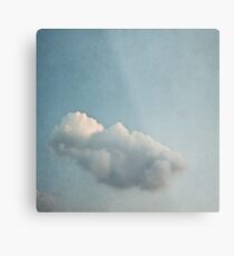 Float on Metal Print