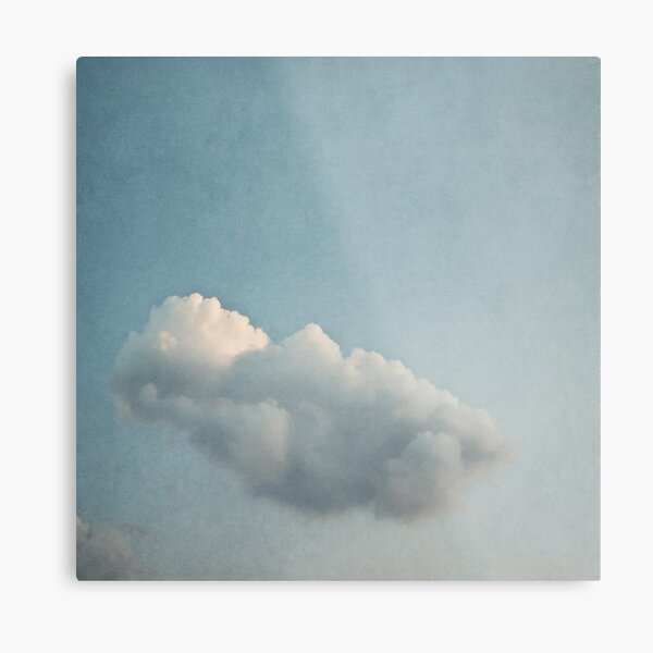 Float on Metal Print