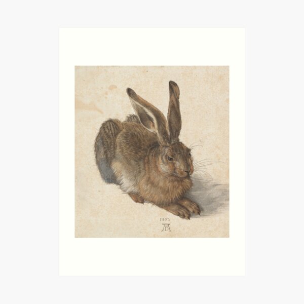 Albrecht Durer Art Poster Print A Young Hare 24x36 