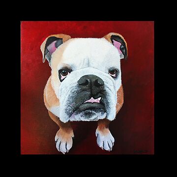 Artwork thumbnail, Floyd the Bulldog by Nicole Grimm-Hewitt