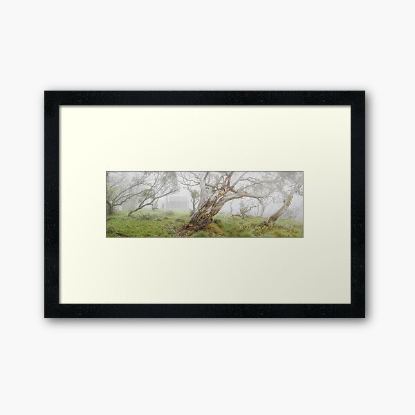 Item preview, Fitzgeralds Hut, Falls Creek, Victoria, Australia designed and sold by Michael Boniwell.
