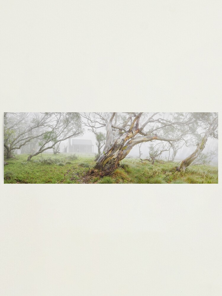 Thumbnail 1 of 3, Photographic Print, Fitzgeralds Hut, Falls Creek, Victoria, Australia designed and sold by Chockstone.