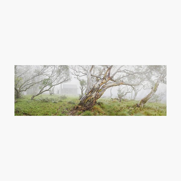 Item preview, Fitzgeralds Hut, Falls Creek, Victoria, Australia designed and sold by Michael Boniwell.