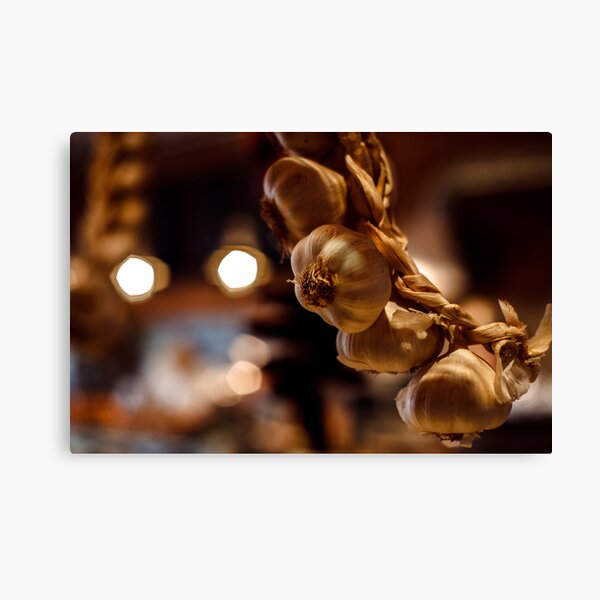 Garlic Canvas Print
