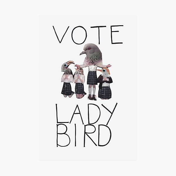 Vote Ladybird Poster Photographic Print
