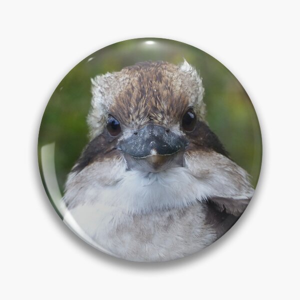 Item preview, Kookaburra Portrait 3 designed and sold by Trish Meyer.