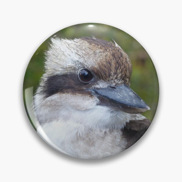 Item preview, Kookaburra Portrait 2 designed and sold by Trish Meyer.