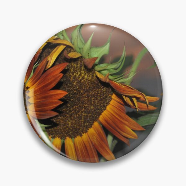 Artikelvorschau, Sunflower in evening light. entworfen und verkauft von Lozzar Flowers & Art.