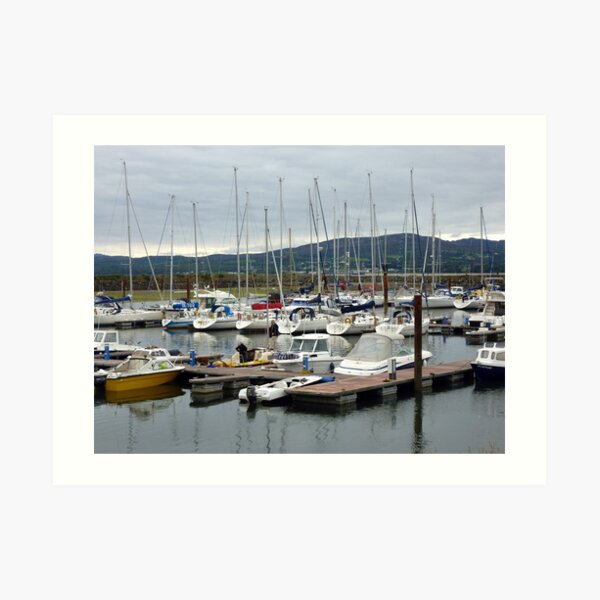 Lough Swilly Marina Art Print