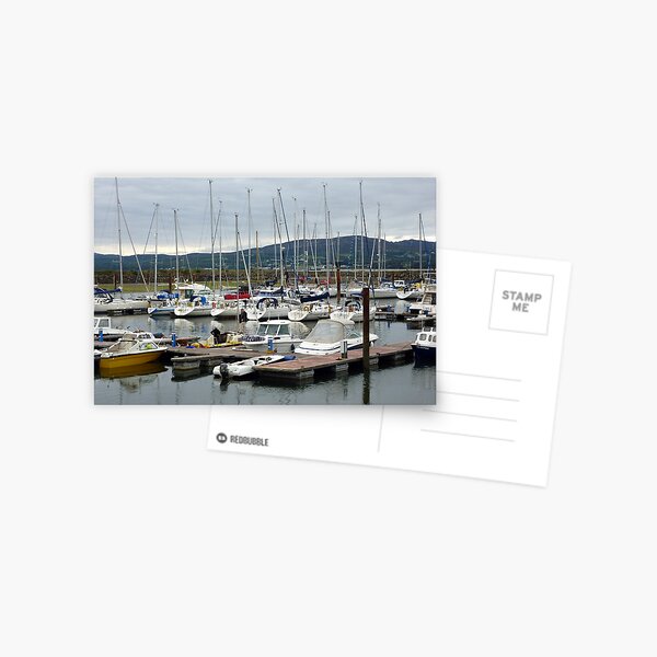 Lough Swilly Marina Postcard