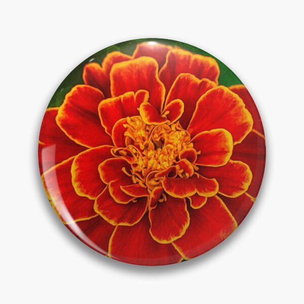 Item preview, Marigold designed and sold by Keith's Photo Artistry.
