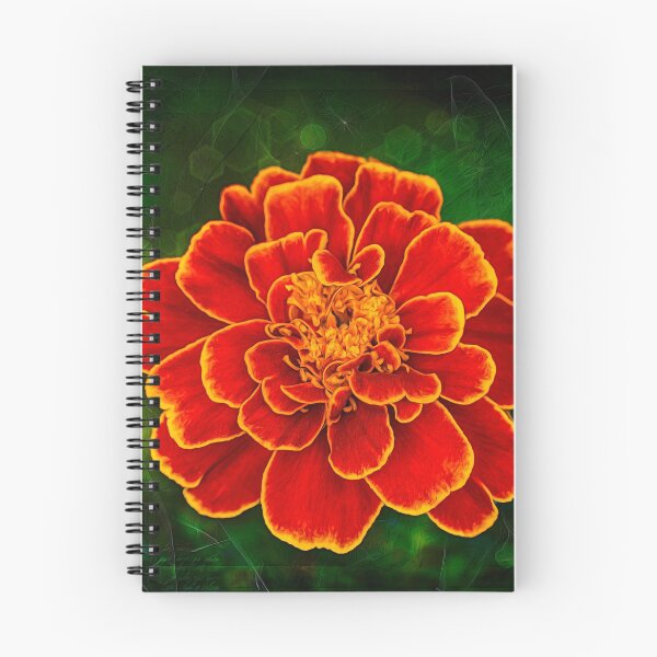 Item preview, Marigold designed and sold by Keith's Photo Artistry.