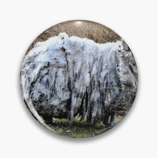 Item preview, Shabby Sheep designed and sold by jmnicolson.