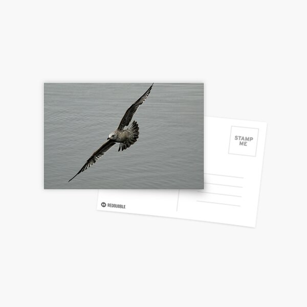 Item preview, Banking  Left designed and sold by Thomasyoung.