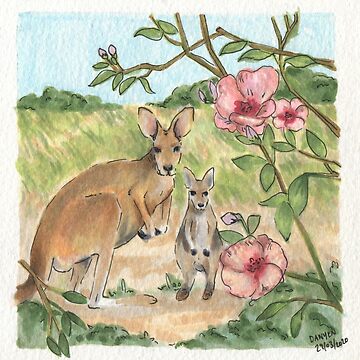 Artwork thumbnail, Red Kangaroos & Sturts' Desert Roses by ddanyen